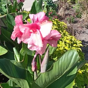 Meet your Posher, "J"